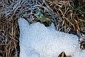 S. Damiano d'Asti - Ultima neve e brina_019